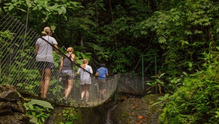 Top 5 Jaco Activities for Adventurers, Costa Rica