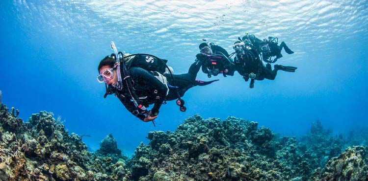 Scuba Diving and Snorkel, Things to do in Uvita, Costa Rica – Costa Rica Tours
