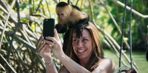 Manuel Antonio & Monkey Combo, Things to do in Jaco, Costa Rica