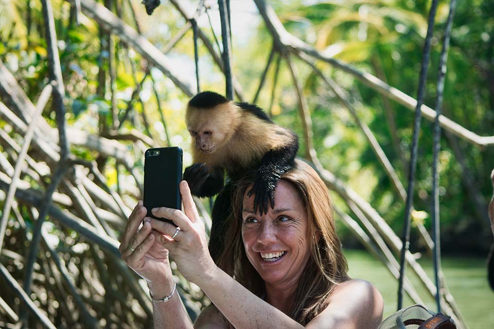 Monkey Mangrove Tour, Things to do in Jaco, Costa Rica – Costa Rica Tours