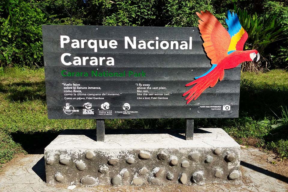 Carara National Park Costa Rica
