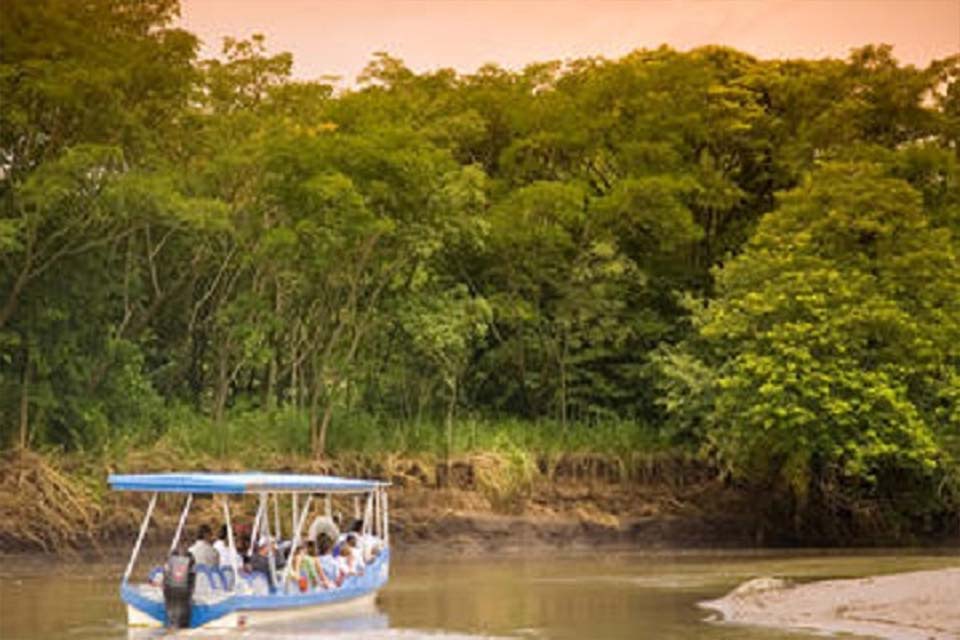 Palo Verde Boat Safari, Things to do in Tamarindo, Costa Rica. – Costa Rica Tours