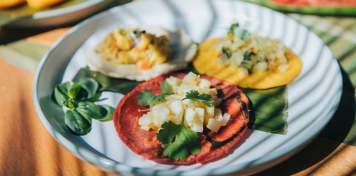 Vegan, Gluten-Free, Keto, & Healthy Catering, Things to do in Jaco, Costa Rica – Costa Rica Tours