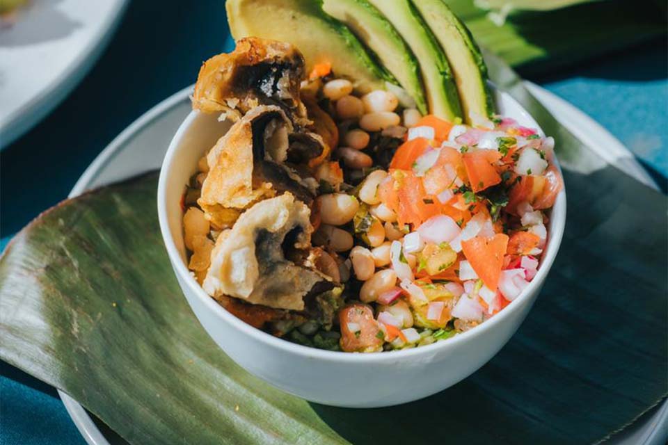 Vegan, Gluten-Free, Keto, & Healthy Catering, Things to do in Jaco, Costa Rica – Costa Rica Tours